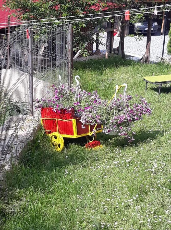 Pensiunea Io-Mara Vatra Dornei Esterno foto